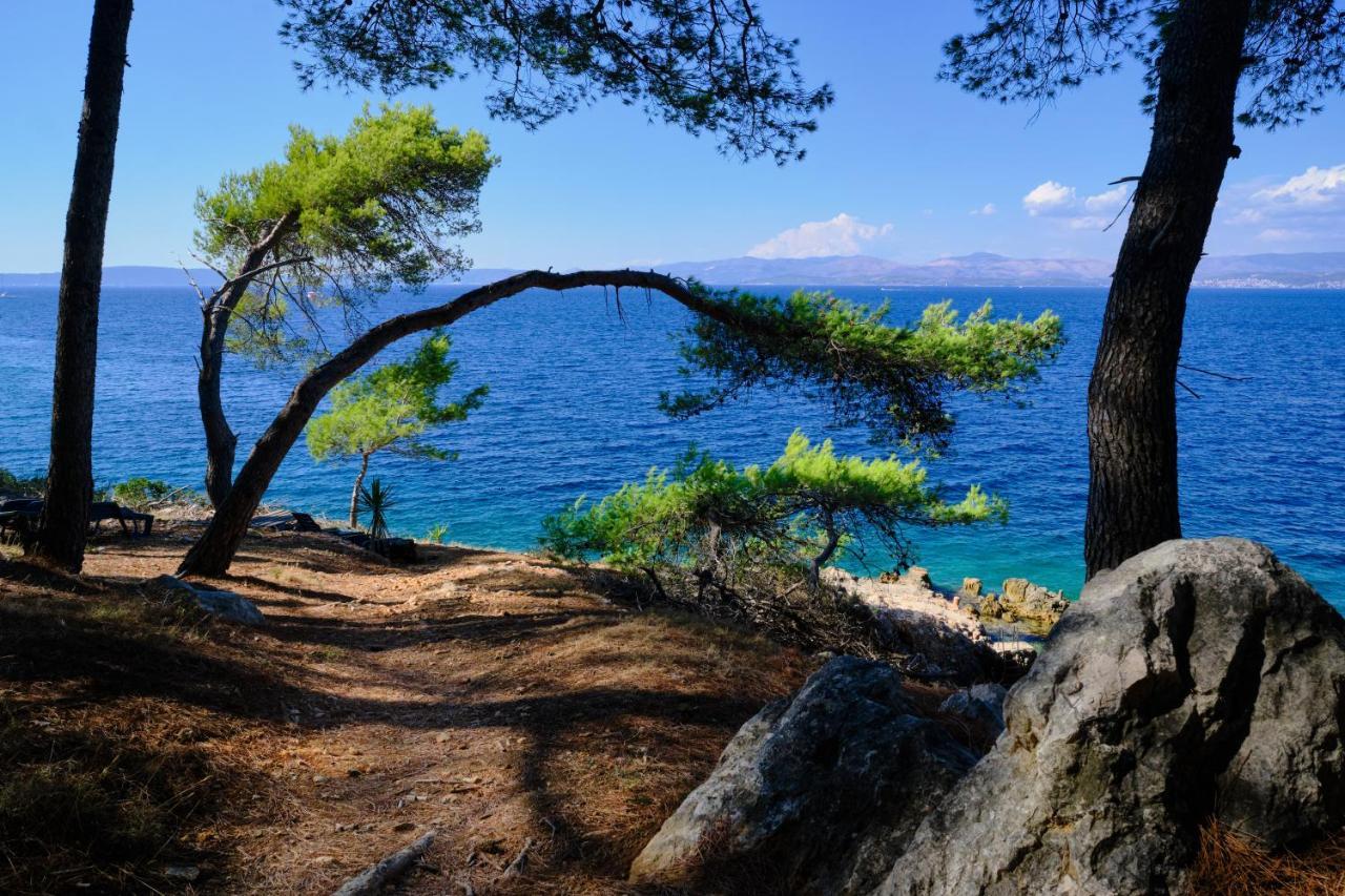 Vila Vita Donje Selo na Šolti Exterior foto
